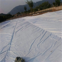 福建300克防水土工布 正宇牌300g不透水土工布 两布一膜 防水