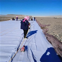 四川300克防水土工布 正宇牌300g不透水土工布 两布一膜 防渗