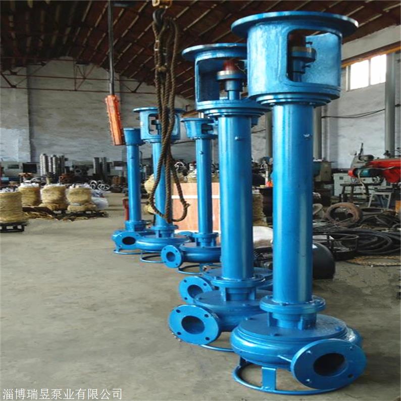 淄博瑞昱泵业CSL型 液下清淤泵厂家