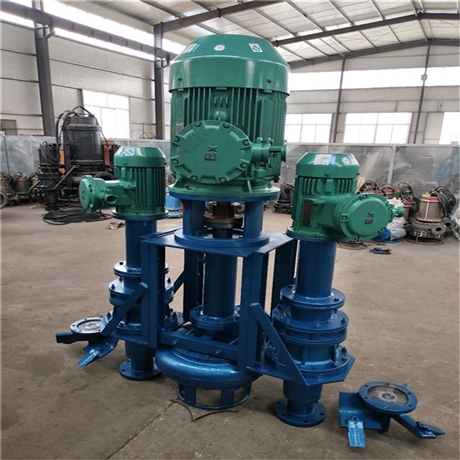 瑞昱CSL型立式泥沙泵 大流道立式泥浆泵