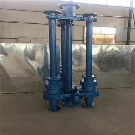 淄博瑞昱泵业CSL型 液下抽渣泵装配视频