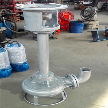 淄博瑞昱泵业CSL型 液下矿渣泵价格