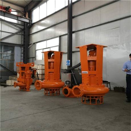 淄博瑞昱泵业 挖机排沙泵按需定制