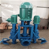 液下渣浆泵 立式抽沙泵 矿山立式尾砂泵