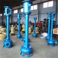 淄博瑞昱泵业 CSL型液下渣浆泵双管结构