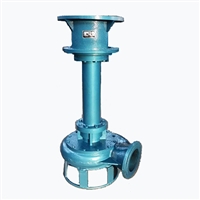 立式抽沙泵使用 液下排沙泵 博山泵城供应