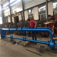 瑞昱CSL型立式泥沙泵 可移动立式泥浆泵