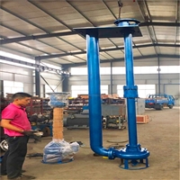 立式抽沙泵规格 抽沙泵立式图片