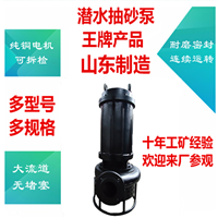 潜水吸沙泵厂家 抽沙泵型号 耐磨渣浆泵