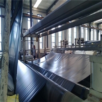 土工膜防渗土工膜的生产厂家报价