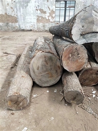 国外红橡原木 美国红橡 特级板材 张家港汉威木业 低价出售 