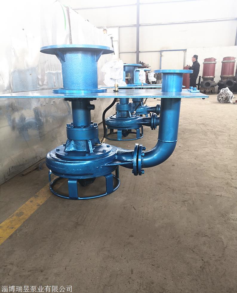 淄博瑞昱泵业CSL型 液下抽渣泵