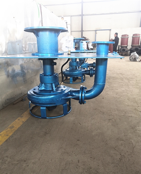 淄博瑞昱泵业CSL型 液下抽渣泵