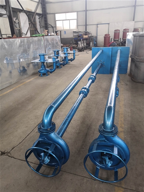 瑞昱CSL型立式泥沙泵 无堵塞立式泥浆泵