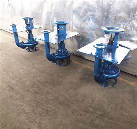 瑞昱CSL型立式泥沙泵 搅拌立式泥浆泵