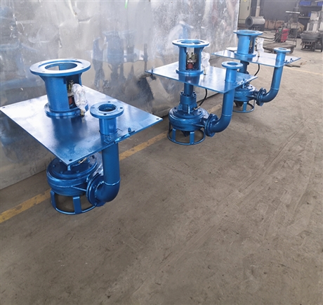 瑞昱CSL型立式泥沙泵 高铬合金立式泥浆泵