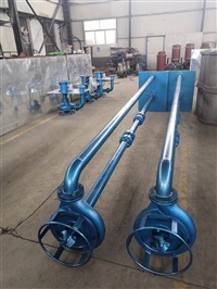 瑞昱CSL型立式泥沙泵 无堵塞立式泥浆泵