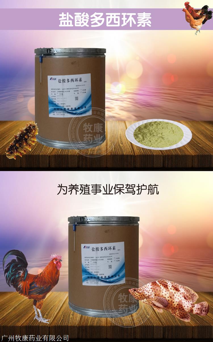 盐酸多西环素强力霉素98原厂抗生素消炎兽药鸡药猪药鱼药