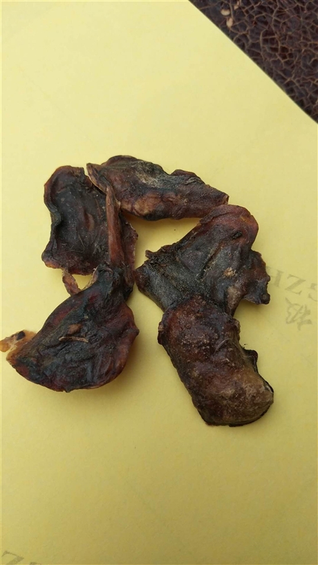 【南瓜蒂的今日报价   中药材南瓜蒂的功效】价格,厂家,农作物种子种苗