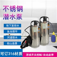 单相家用全自动抽水泵QDN5-7-0.25KW不锈钢潜水泵可订110V