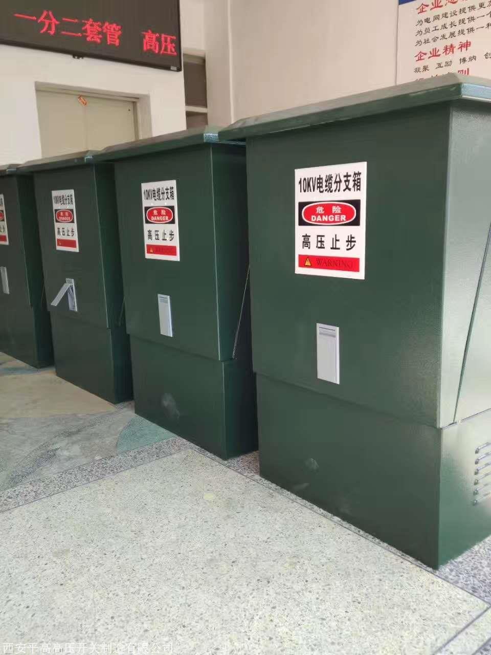 10kv真空开关保护电缆分支箱