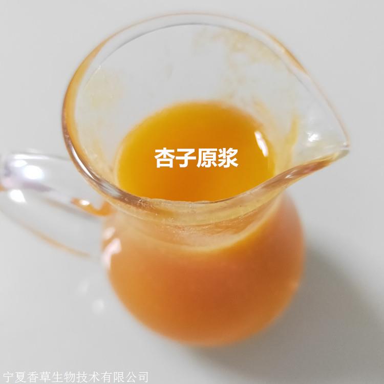 杏干粉杏果提取物浓缩粉杏干提取物