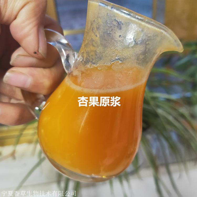 杏干粉杏果提取物浓缩粉杏干提取物