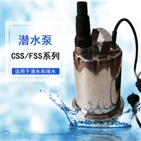 花园浇水泵CSS-250便携式小型不锈钢单相潜水泵