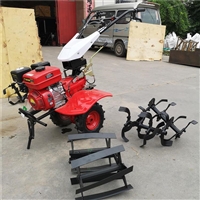 四冲程汽油松土机 大鹏旋耕除草机