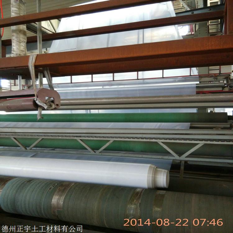 0.3mm聚乙烯膜价格,青海0.3厚聚乙烯PE膜厂家,30丝厚PE防水膜