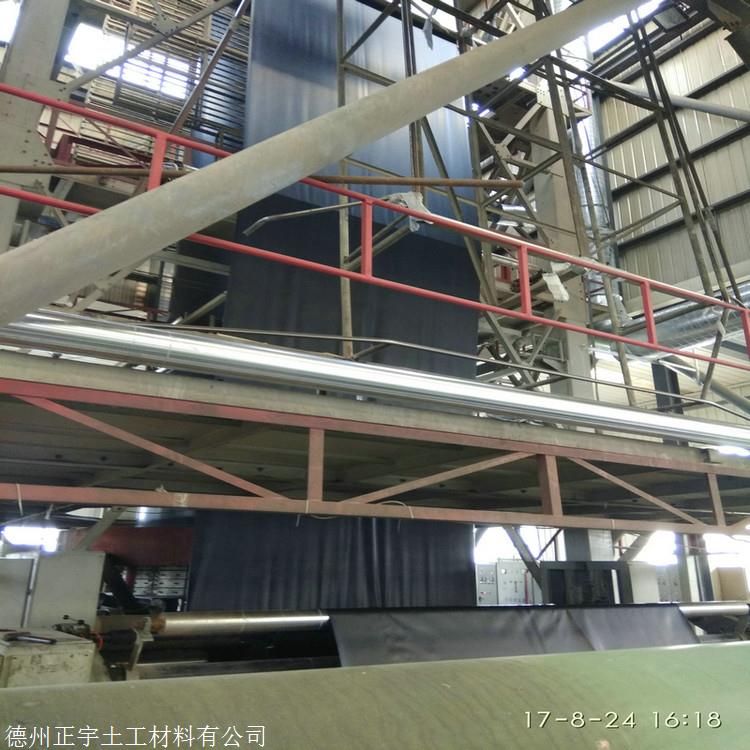 0.3mm聚乙烯膜价格,吉林0.3厚聚乙烯PE膜厂家,30丝厚PE防水膜