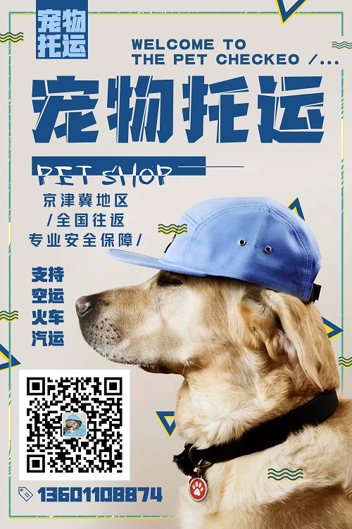 北京专业宠物货运服务，价格合理安全有保障！