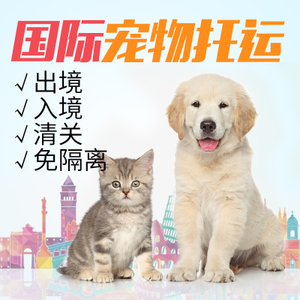 北京专业宠物货运服务，价格合理安全有保障！