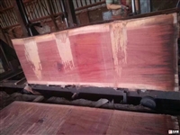 BK朴开拉原木 价优