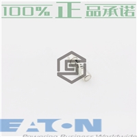 ETN全新正品C10G2、C10G6原装进口模块  假一赔十