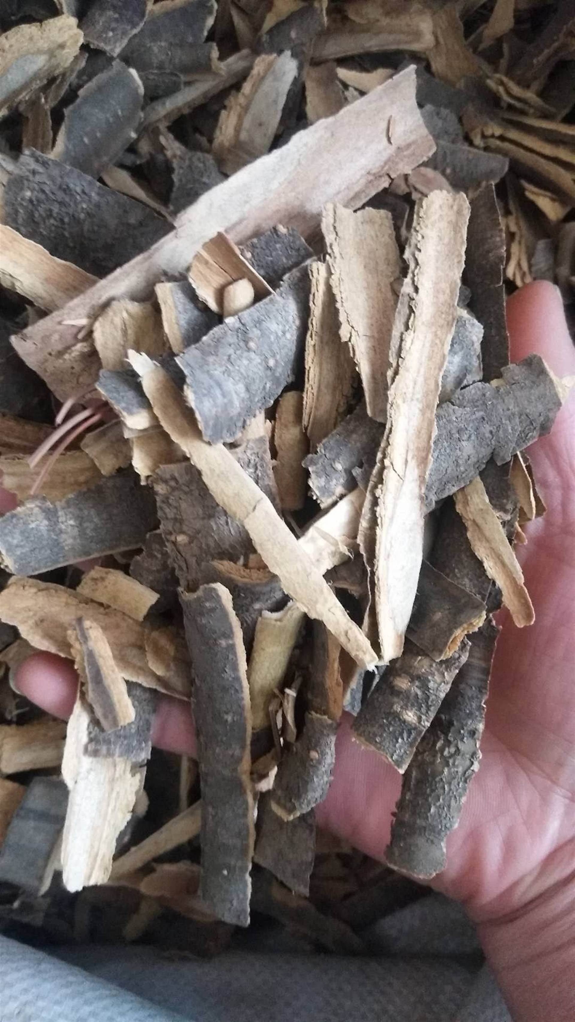 中药材海金沙根产地