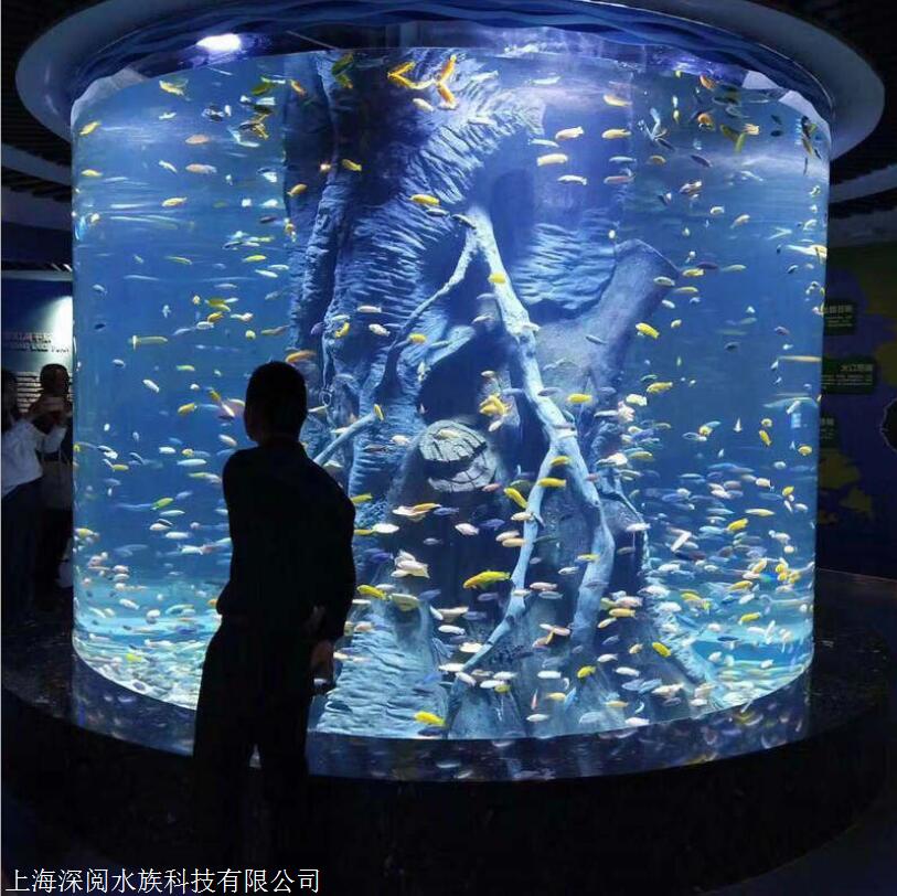 明星水族科技鱼缸图片