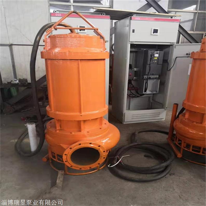 瑞昱高铬合金潜水泥沙泵 中国泵城生产制造