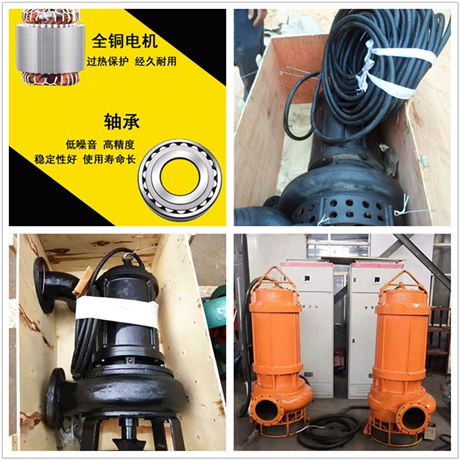 CSQ潜水式吸沙泵 潜水采砂泵 排沙泵 河道抽沙作业泵