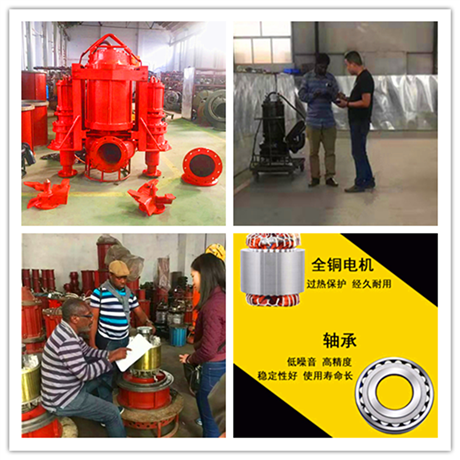 瑞昱CSQ型耐磨抽沙泵生产厂家