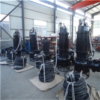 潜水抽沙泵 瑞昱CSQ系列耐磨抽沙泵