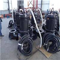 淄博瑞昱CSQ型大流道潜水抽沙泵生产厂家