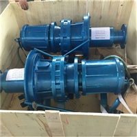 淄博瑞昱CSQ型10寸潜水抽沙泵生产厂家