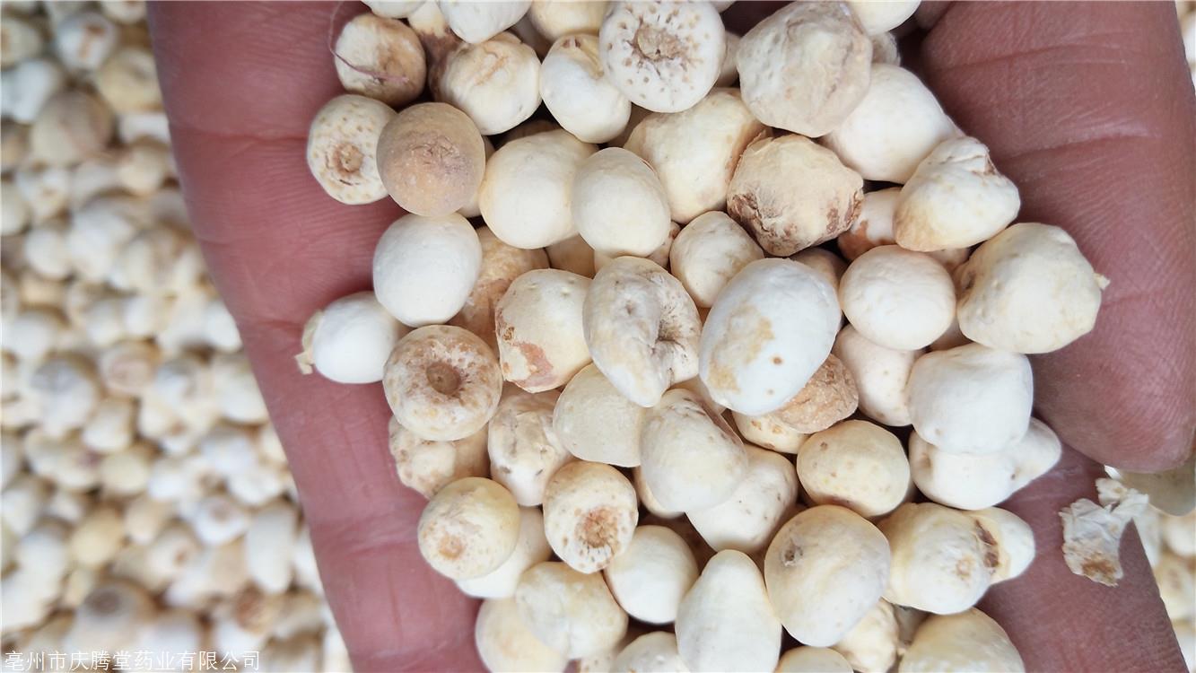 半夏产地价格        半夏功效作用