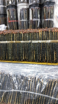 蜈蚣产地直销批发价格