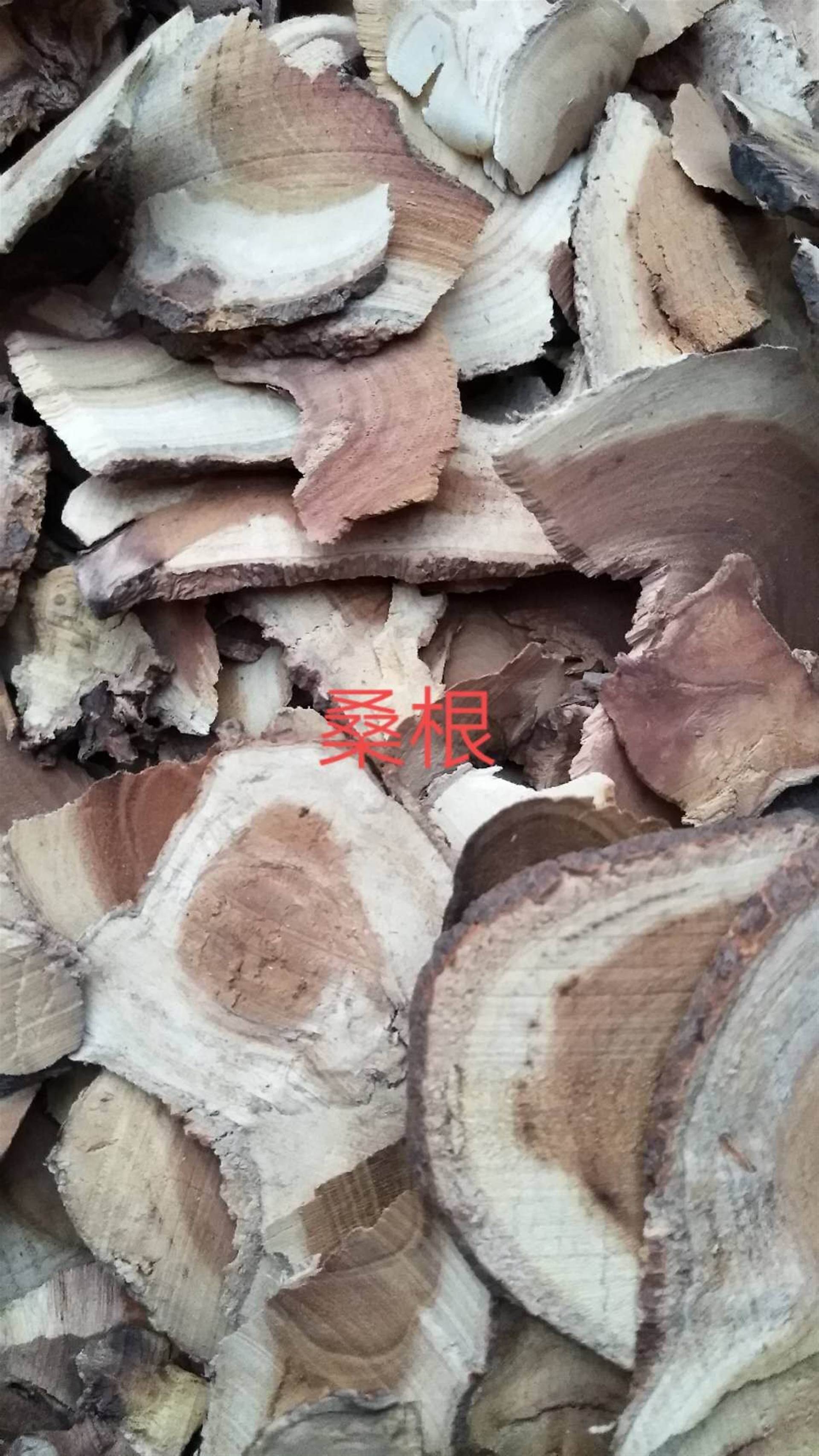 中药材海金沙根产地