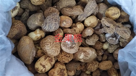 金果榄批发      金果榄的功效