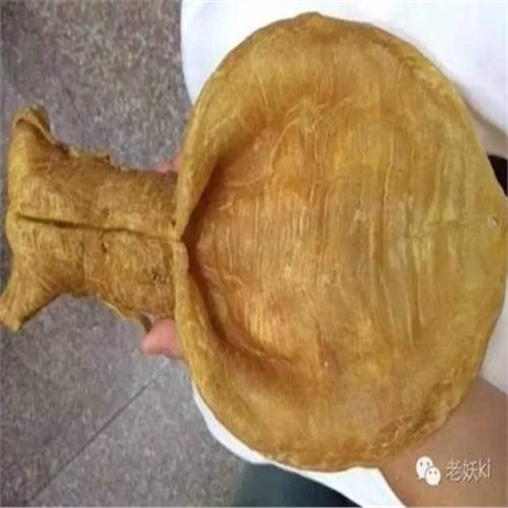 龙岗鱼胶回收哪里回收鱼胶