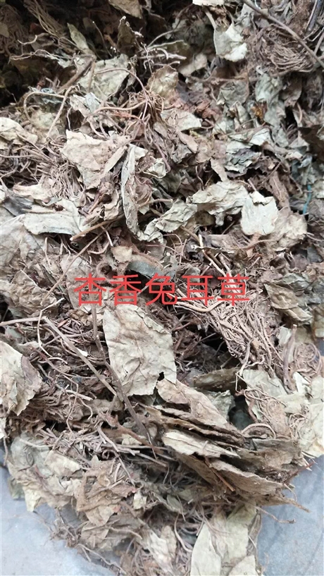 杏香兔耳草一斤价格      杏香兔耳草功效