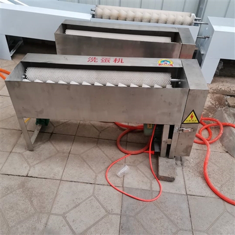 商用毛刷辊洗蛋机 洗咸鸭蛋机 麻酱蛋清洗机 小型鸡蛋清洗机